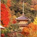 三室戸寺