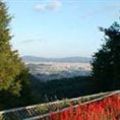 嵐山・高雄パークウェイ