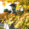 東福寺　勝林寺