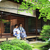 立派な日本庭園を眺めながらのんびりと。※紫織庵の庭には通常入れません。