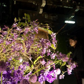 六角堂夜の特別拝観＆春のいけばな展