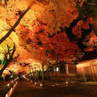 宝厳院　夜の特別公開