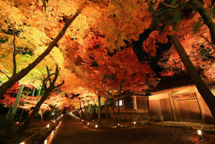 宝厳院　夜の特別公開