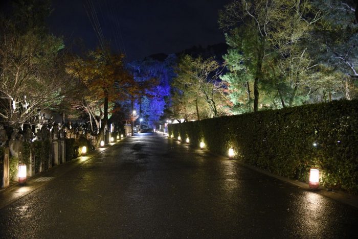 京都・嵐山花灯路-2019