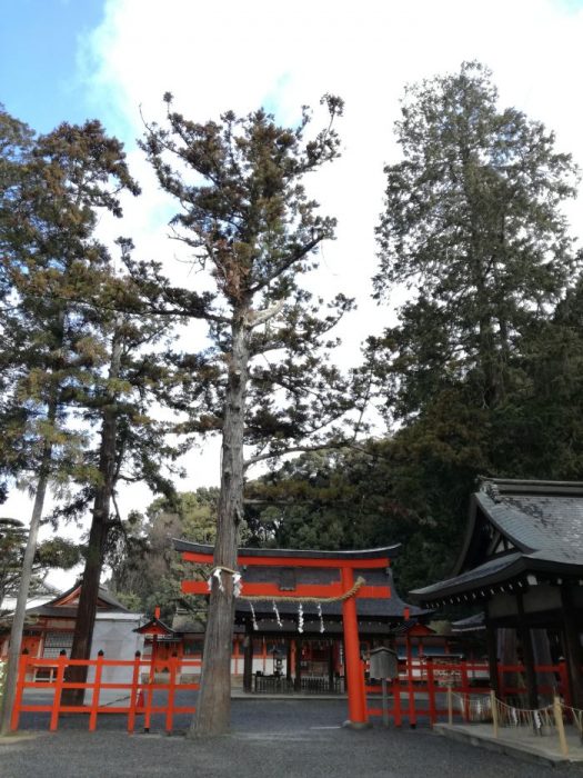 吉田神社