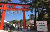 上賀茂手づくり市に行ってきました！
