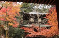 【京都紅葉情報2017】上高野の栖賢寺　≪11月23日≫