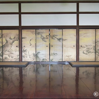 千利休の菩提寺聚光院で狩野永徳唯一の国宝障壁画を堪能