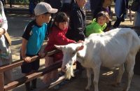 【京都市動物園】 新しくなった京都市動物園はもう行きましたか？　この春は、お花見も楽しめる動物園へ！