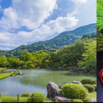 京都嵐山　世界遺産 天龍寺と新緑の美しい宝厳院で禅の文化を満喫