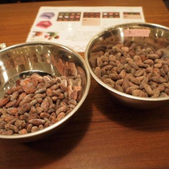 【Dari K主催】カカオ豆から手作りチョコレートワークショップ