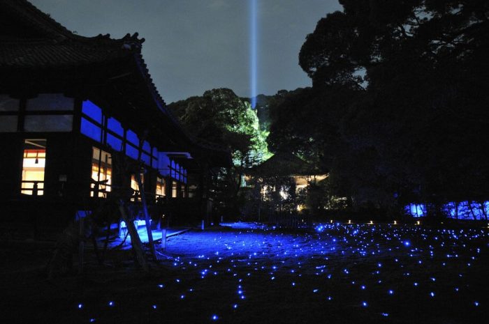 青蓮院門跡夜の特別拝観（ライトアップ）