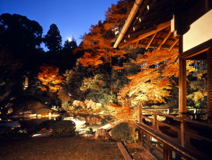 青蓮院門跡夜の特別拝観（ライトアップ）