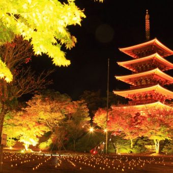 成相寺紅葉ライトアップ