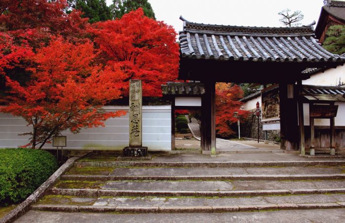 酬恩庵 一休寺と紅葉を楽しむ為の、期間限定カフェ「CANVAS TO KYOTO IN IKKYUJI」