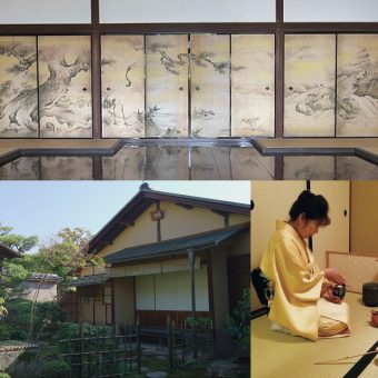 大徳寺聚光院で天才絵師狩野永徳と茶人千利休に思いを馳せる