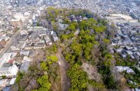 太古の自然を遺す森「糺の森」と世界遺産「下鴨神社」をドローンで空からみてみた！