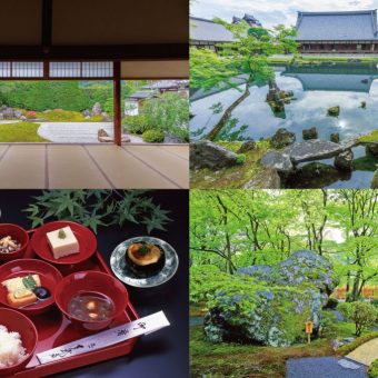 【京あそび】京都嵐山 新緑の古刹名庭を庭師とめぐる