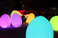 下鴨神社「糺の森の光の祭 Art by teamLab（チームラボ）」2019 に行ってきた！