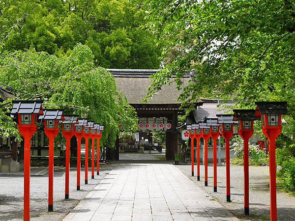 まいまい京都【北野天満宮】天空を司る天神の社、北野天満宮から平野神社へ