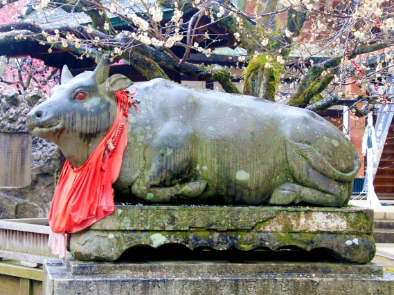 まいまい京都【北野天満宮】天空を司る天神の社、北野天満宮から平野神社へ