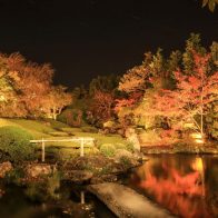 【妙心寺退蔵院】紅葉ライトアップを貸切？贅沢すぎる写真撮り放題ツアー！