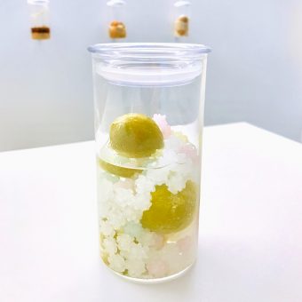 梅体験専門店「蝶矢」福井梅の希少品種「剣先」を使った梅酒作り体験