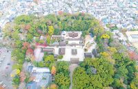 紅葉の美しい「糺の森」と「下鴨神社」を、またまたドローンで空からみてみた！