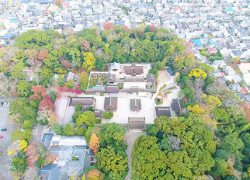 紅葉の美しい「糺の森」と「下鴨神社」を、またまたドローンで空からみてみた！