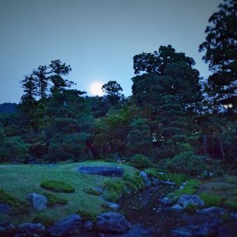 無鄰菴　東山の名月をながめる会2020 月明かりの無伴奏ヴァイオリンリサイタル「月光」茶会