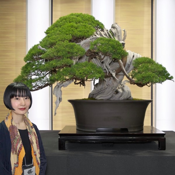 無鄰菴　連続講座「日本盆栽、小さな巨木ー盆栽からBONSAIへ！その愉しみを知る通史」全３回　『第２回　室町〜江戸ー園芸ブームと大衆化ー』