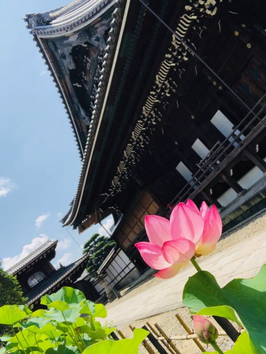 本願寺大谷本廟（西大谷） 朝の法座