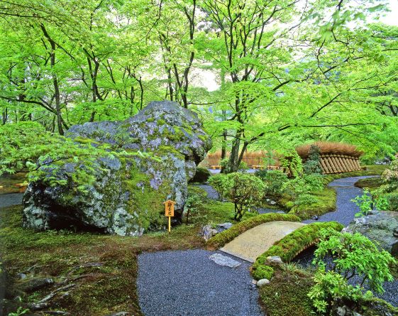 宝厳院　新緑の特別拝観