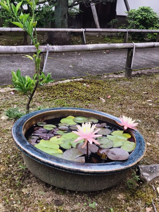 海宝寺　お寺deリラックスヨガ