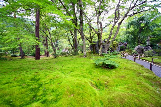 宝厳院　新緑の特別拝観