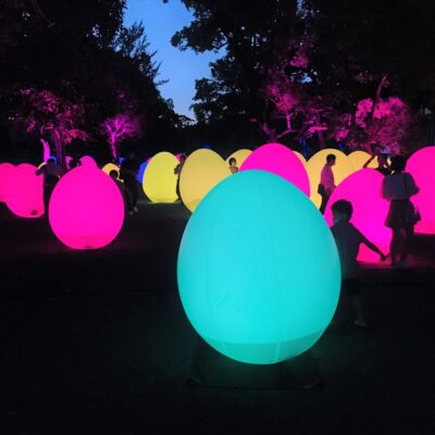 チームラボ 東寺 光の祭 tokio インカラミ 世界遺産 東寺が幻想的な光と音のアート空間に デジスタイル京都 チームラボ 東寺 光の祭 tokio インカラミ 世界遺産 東寺が幻想的な光と音のアート空間に デジスタイル京都