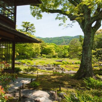 京都市京セラ美術館 モダン建築の京都展 連携企画　無鄰菴非公開ルート特別見学会