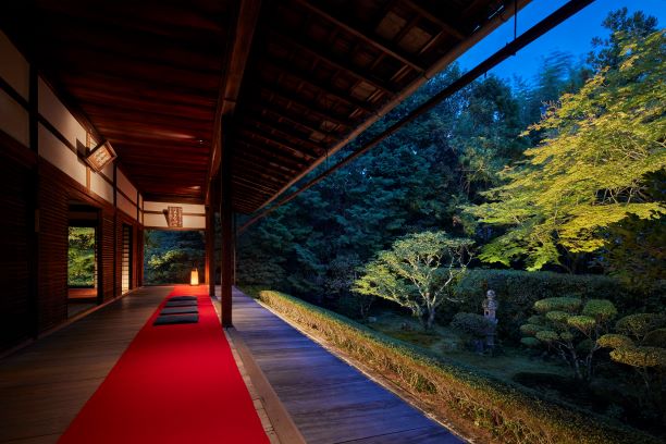 妙心寺桂春院「幽玄の美に触れる夜の拝観」