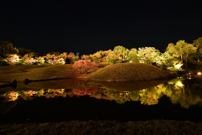 梅小路公園紅葉まつり（ライトアップ）