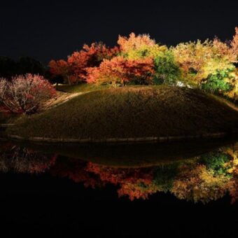 梅小路公園紅葉まつり（ライトアップ）