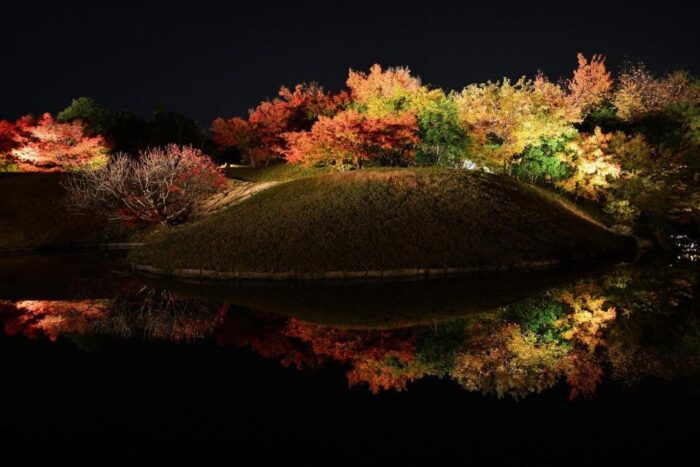 梅小路公園紅葉まつり（ライトアップ）