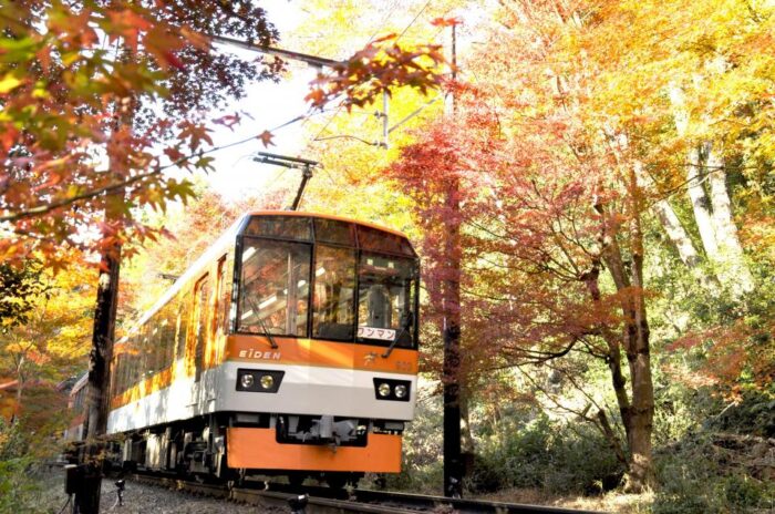 秋のワンデートリップ　奥京都スタンプラリー