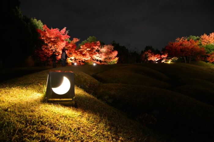 梅小路公園紅葉まつり（ライトアップ）