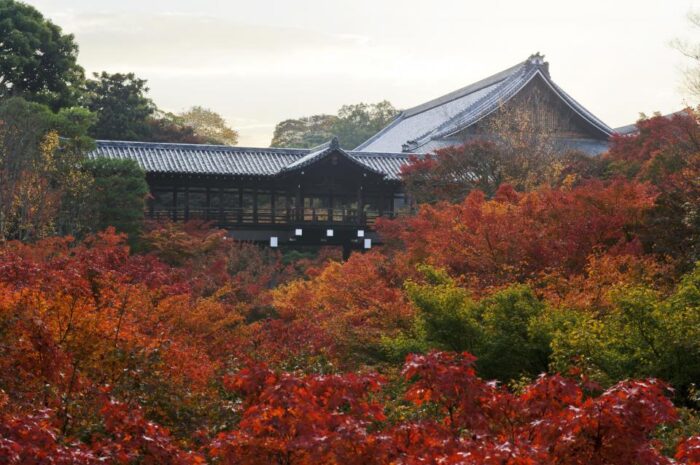 東福寺　看楓特別拝観