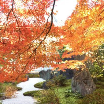 梅壺市in妙心寺長興院