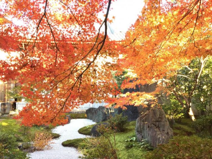 梅壺市in妙心寺長興院