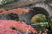 京都早朝紅葉さんぽ～南禅寺・哲学の道界隈　境内や水路閣の紅葉と法然院【11月23日】