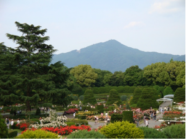 【要申込】さすてな講座 「京都府立植物園・春夏秋冬のはてな？」