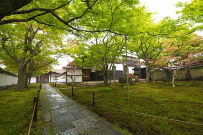 大徳寺 黄梅院　春の特別公開