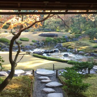 こたつde庭喫茶「うん。ありと想う」  京都の大学生によるレトロでほっとなティータイム